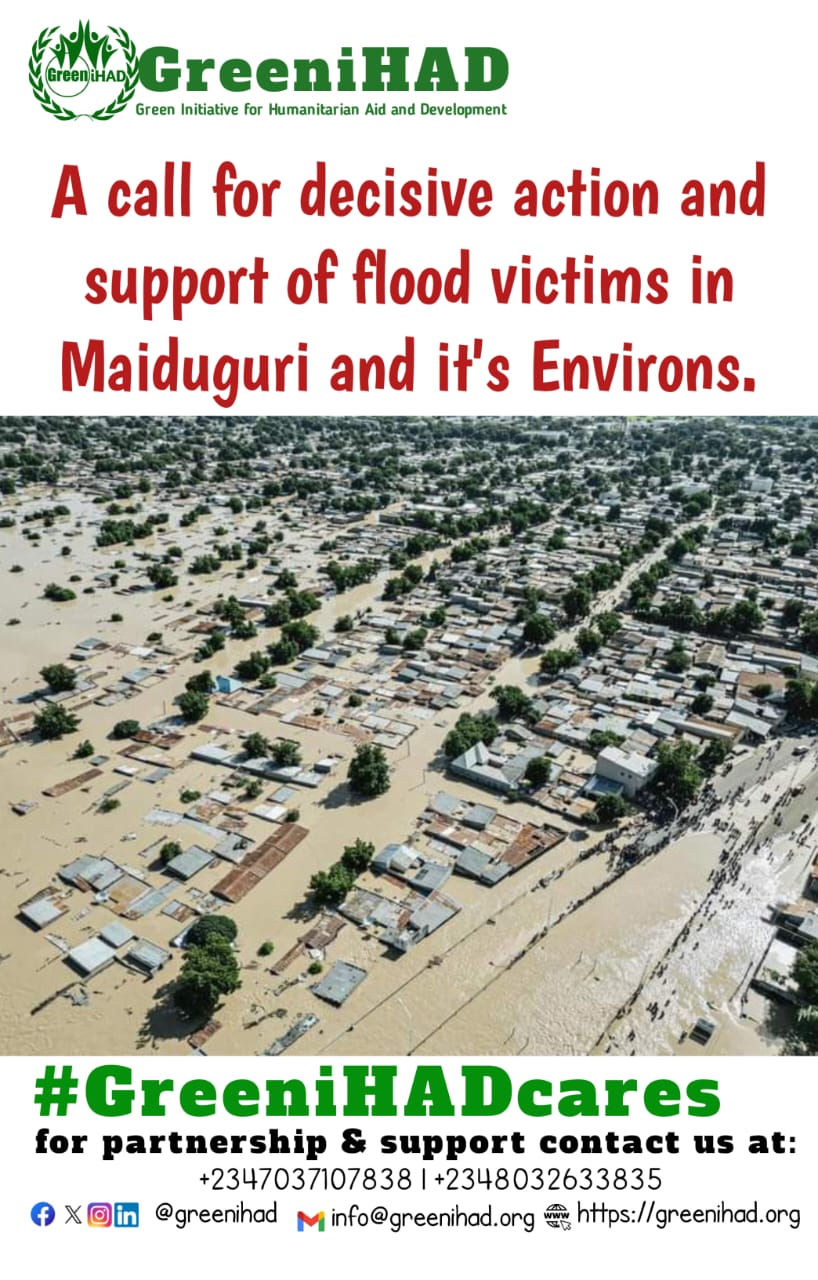 Maiduguri city submerge in  flood